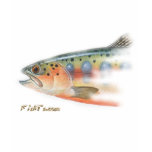 Fish Heads by FishTs.com