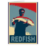 Fish Icon Collection