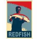 Fish Icon Collection