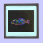 Fish in blue design for the gift box premium gift boxes