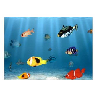 Fish In The Ocean Business Card Template