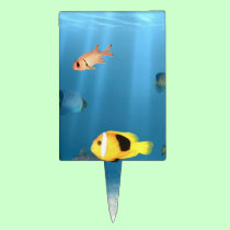 Fish In The Ocean cake picks