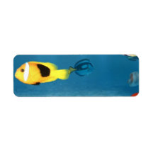 Fish In The Ocean Custom Return Address Label