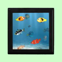 Fish In The Ocean gift boxes