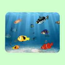 Fish In The Ocean magnets