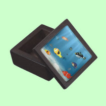 Fish In The Ocean premium gift boxes
