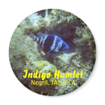 Fish, Indigo Hamlet, Negril, JAMAICA magnets by carryoutcoffeehouse Fish, Indigo Hamlet, Negril, JAMAICA magnets