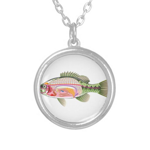 Fish+Internal+Organs+Diagram Fish internal organs Vector Art diagram Anatomy Round Pendant Necklace ...