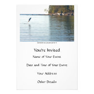 Fish Jumping Out of Water Announcement