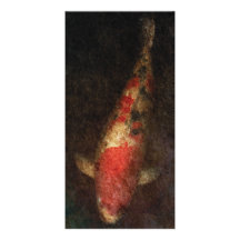 Fish - Kingyo Photo Cards