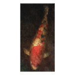Fish - Kingyo photo cards