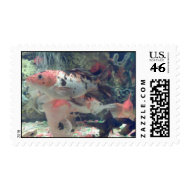Fish Koi Design Stamps stamp