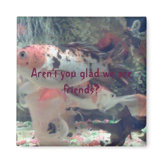 Fish Koi Magnet magnet