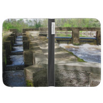 Fish Ladder ~ Kindle case