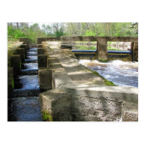 Fish Ladder ~ postcard