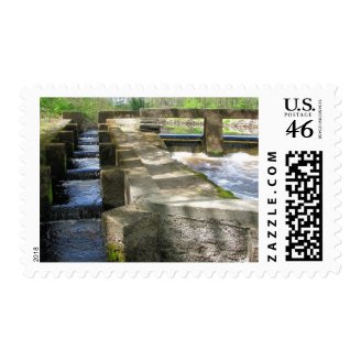 Fish Ladder ~ stamp