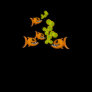 Fish Ladies T-Shirt