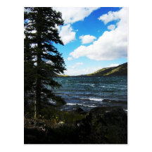 Fish Lake, Utah Post Card