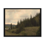 Fish Lake, Utah Postcard