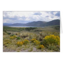 Fish Lake, Utah Scenery Card!