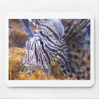fish,lion fish mousepad