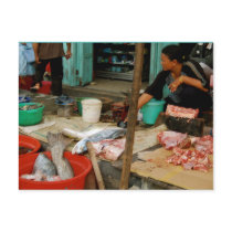 Fish Market in Kumai postcards by Rebecca_Reeder Fish Market in Kumai postcards
