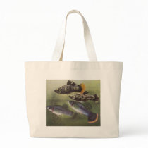Fish - Mollies - Poecilia sphenops bags