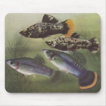Fish - Mollies - Poecilia sphenops mousepads