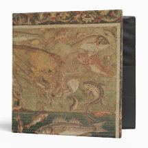 Fish, Molluscs and Crustacea 3 Ring Binder