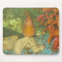 Fish Mouse Mat