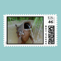 FISH MOUTH - postage stamps stamps