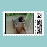 FISH MOUTH - postage stamps