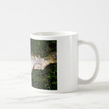 fish mug