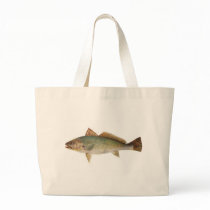 Fish - Mulloway - Sciaena antarctica Bag