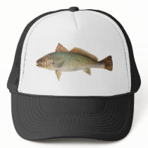 Fish - Mulloway - Sciaena antarctica Mesh Hat