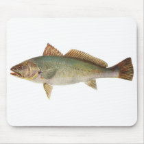 Fish - Mulloway - Sciaena antarctica Mouse Pad