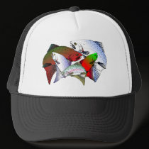FISH_OF_COLOR hats