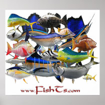 Fish of the Gulf-Huge Poster posters