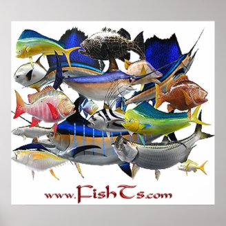 Fish of the Gulf-Huge Poster