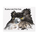 Fish Owl bust postcard by jslaght Fish Owl bust postcard