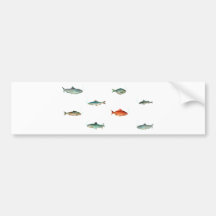 Fish Pattern Bumper Stickers