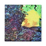 Fish Peek A Boo Refrigerator Magnets