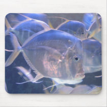 Fish Photo mousepads