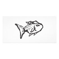 FIsh photo cards