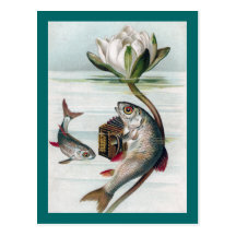 Fish Playing Accordion and Water Lily Postcards