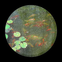 Fish Pond Magnet magnets