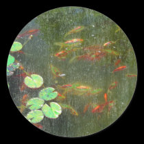 Fish Pond Sticker stickers