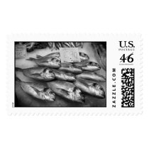 Fish postage by ssusser Fish postage