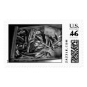 Fish postage