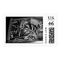 Fish postage by ssusser Fish postage